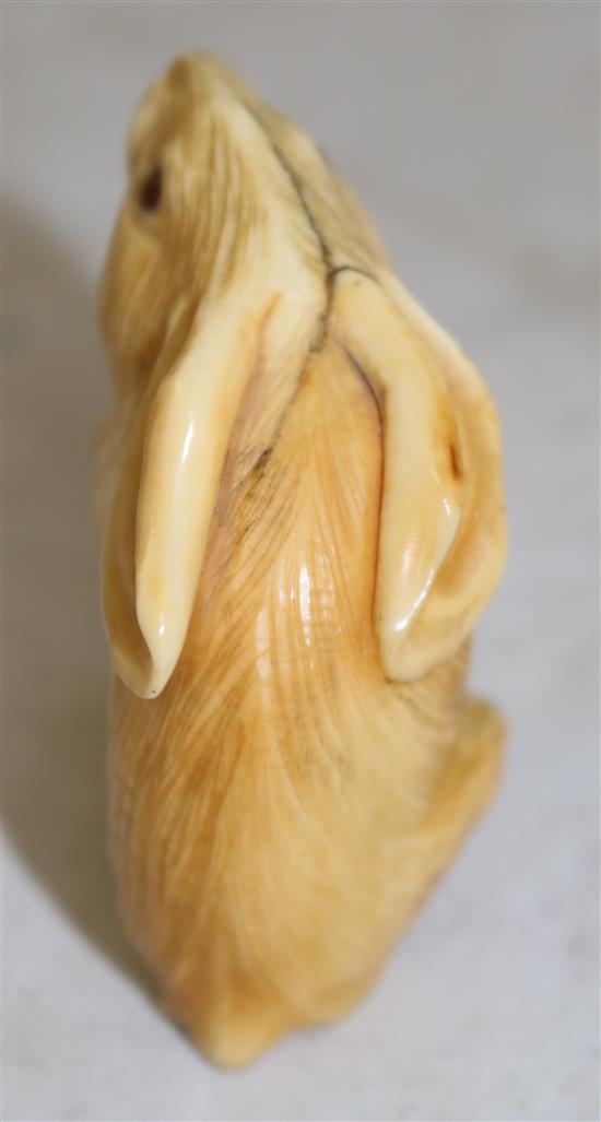 A Japanese ivory okimono of a hare, early 20th century, height 5.4cm, age cracks